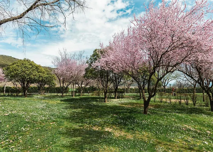 Wecamp Pirineos Boltaña